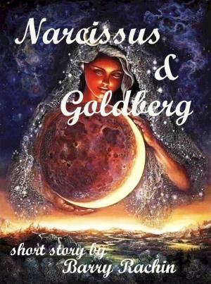 Cover of the book Narcissus and Goldberg by Barry Rachin