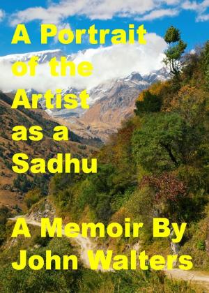 bigCover of the book A Portrait of the Artist as a Sadhu by 