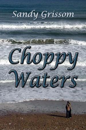 Book cover of Choppy Waters