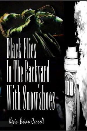 Book cover of Black Flies In The Backyard With Snowshoes