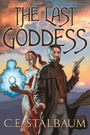 Cover of the book The Last Goddess by Sarah Hawke