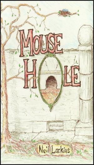 bigCover of the book Mouse Hole by 