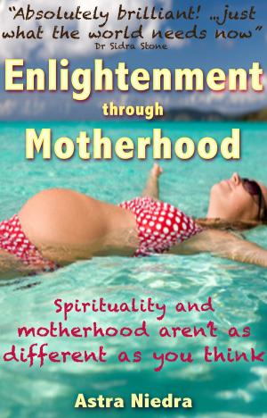 Cover of the book Enlightenment Through Motherhood by Janet Lansbury