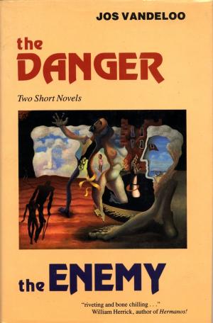 Cover of the book The Danger and The Enemy by Amie McCracken