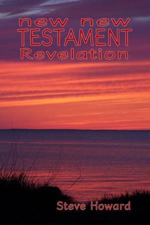 Book cover of New New Testament Revelation