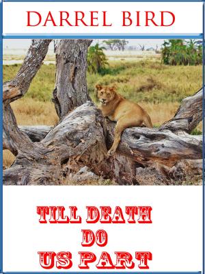 Cover of the book Till Death Do Us Part by David Budbill