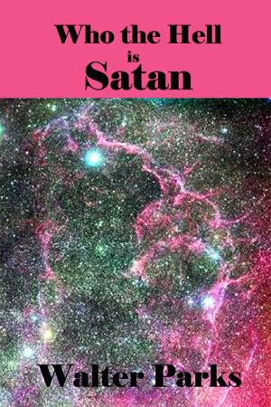 Cover of Who the Hell is Satan