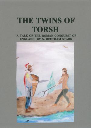 Cover of The Twins of Torsh