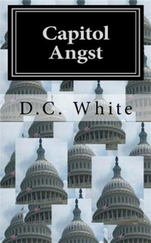 Cover of Capitol Angst