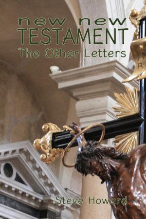 Cover of the book New New Testament The Other Letters by Steve Howard