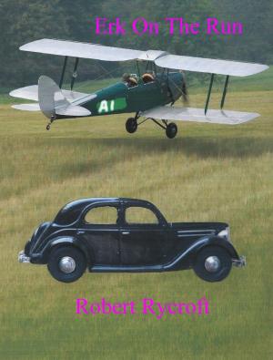 Cover of the book Erk On The Run by Eugen Adelsmayr