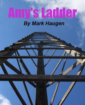 Cover of the book Amy's Ladder by Dennis Herrell