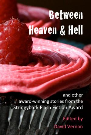 Book cover of Between Heaven & Hell and Other Award-winning Stories from the Stringybark Flash Fiction Award