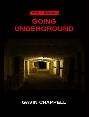 Cover of the book Going Underground by Mary Ann Mitchell