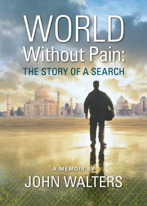 Cover of the book World Without Pain: The Story of a Search by Joan Anderson