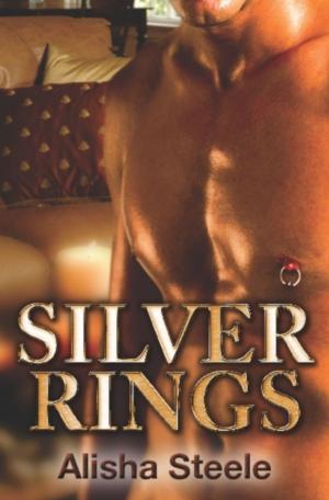 Book cover of Silver Rings