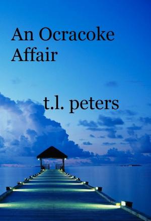 Book cover of An Ocracoke Affair