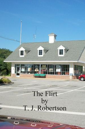 Cover of the book The Flirt by Bernadete Maldonado