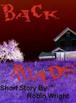 Cover of the book Back Roads by Danica Avet