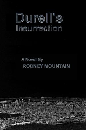 Cover of the book Durell's Insurrection by Derek Haines