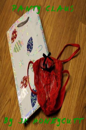 Cover of the book Panty Claus by Kit Love