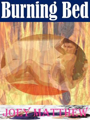 Cover of the book Burning Bed by Taylor Hohulin