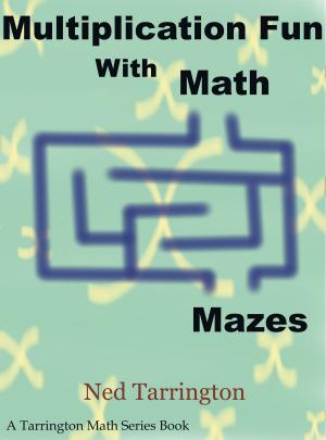 Cover of the book Multiplication Fun With Math Mazes by Sharon Pierce McCullough