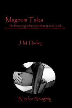 Cover of the book Magnum Tales ~ N is for Naughty by M. Hadley