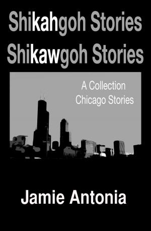 Book cover of Shikahgoh Stories Shikawgoh Stories