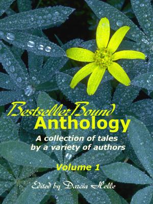 Book cover of BestsellerBound Short Story Anthology