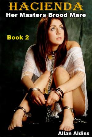 bigCover of the book Hacienda Book 2: A BDSM Novel by 