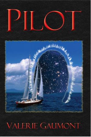 Cover of the book Pilot by Steve S. Grant