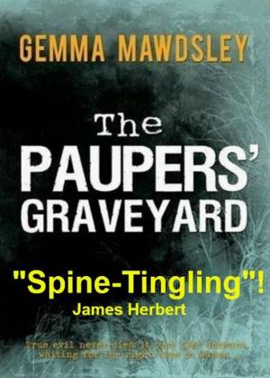 Cover of the book The Paupers' Graveyard by Andrew Barger
