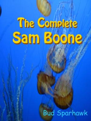 Cover of the book The Complete Sam Boone by C.E. Murphy