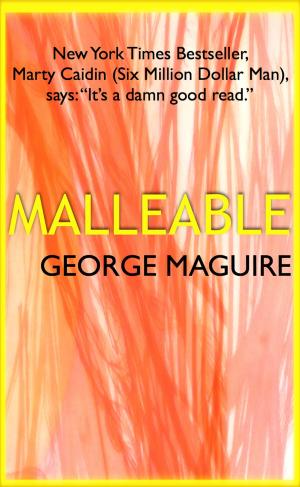 Cover of the book Malleable by A.I.M. Fothertop