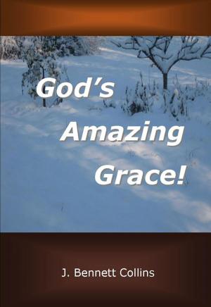 Cover of the book God's Amazing Grace by John Catucci, Michael Vlessides
