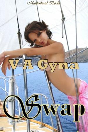 Cover of the book Swap by V.A. Gyna