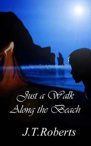 bigCover of the book Just a Walk Along the Beach by 