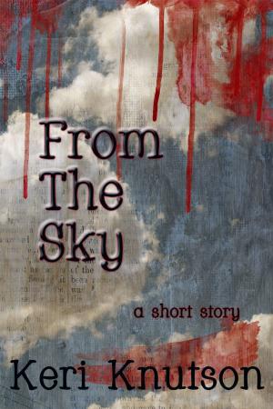 bigCover of the book From The Sky by 