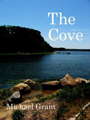 Cover of the book The Cove by Michael Grant