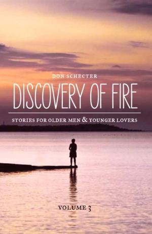 Book cover of Discovery of Fire
