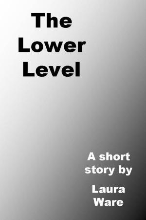 Cover of the book The Lower Level by Laura Ware