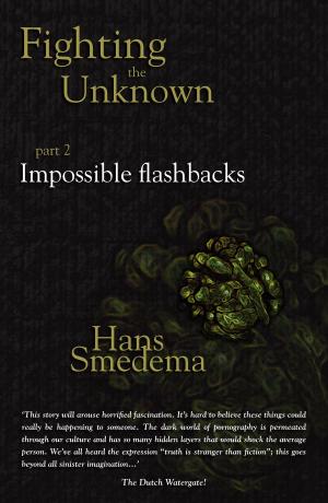 Book cover of Fighting the Unknown: part 2 - Impossible flashbacks