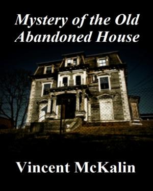Cover of the book Mystery of the Old Abandoned House by J. Dane Tyler