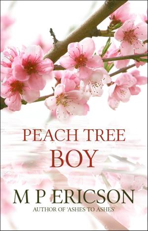 Book cover of Peach Tree Boy