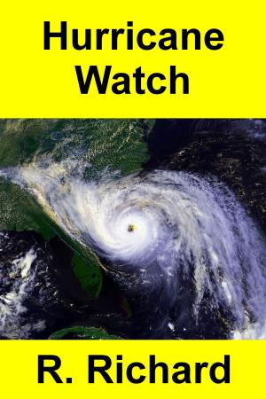 Cover of the book Hurricane Watch by R. Richard