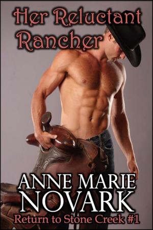 Cover of the book Her Reluctant Rancher by Anne Marie Novark