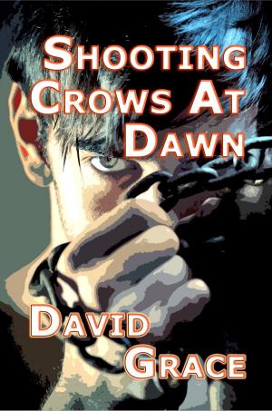Book cover of Shooting Crows At Dawn