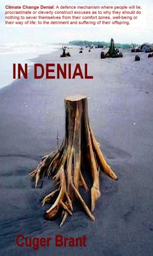 Book cover of In Denial