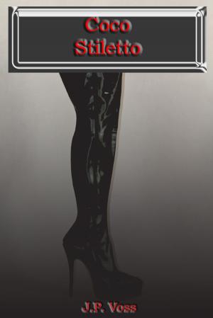 Cover of the book Coco Stiletto by Lindsey Taylor
